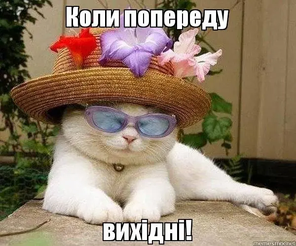 меми про пятницю