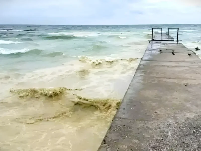 Олія у Чорному морі