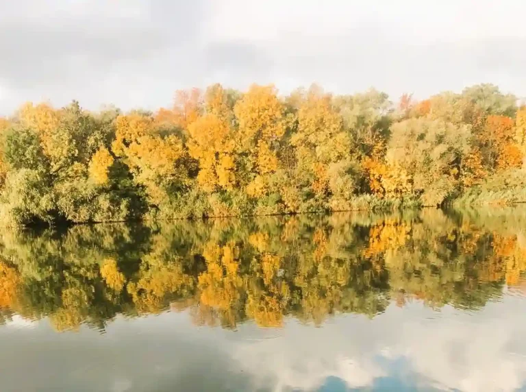 Осінній Дністер