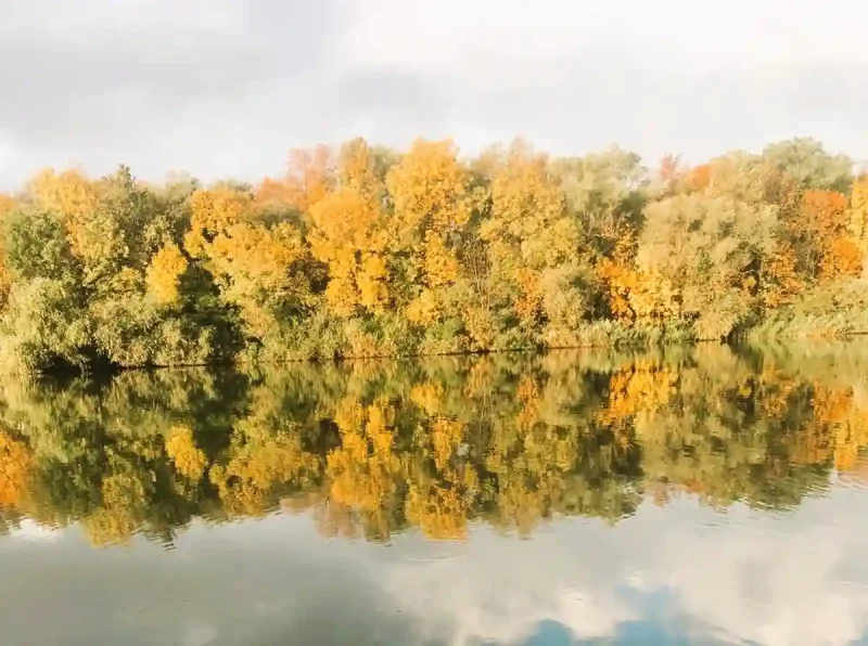 Осінній Дністер