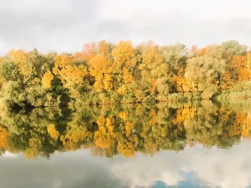 Осінній Дністер