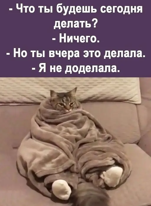 Планы на день