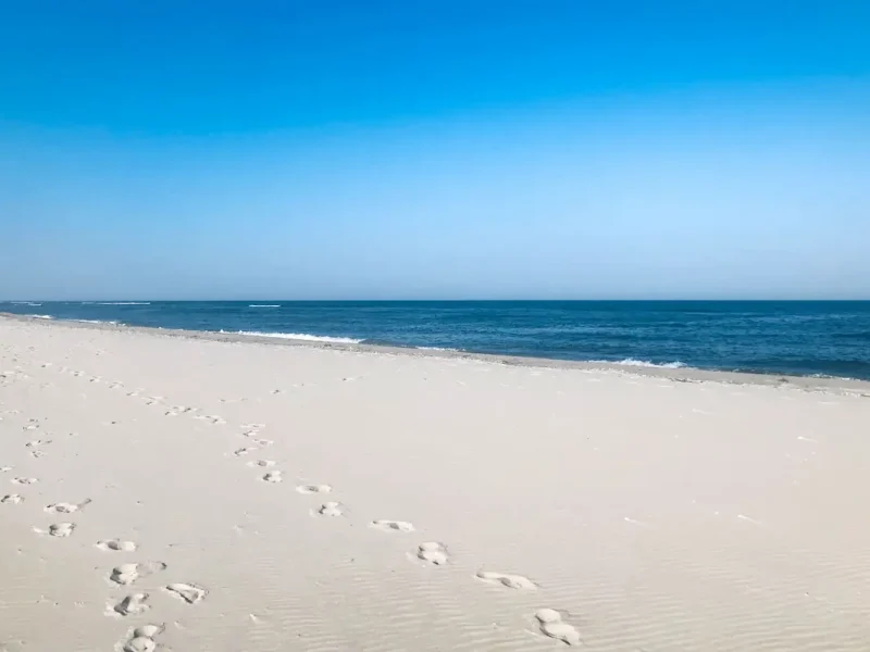 Приморське