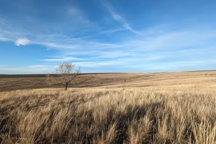 степ