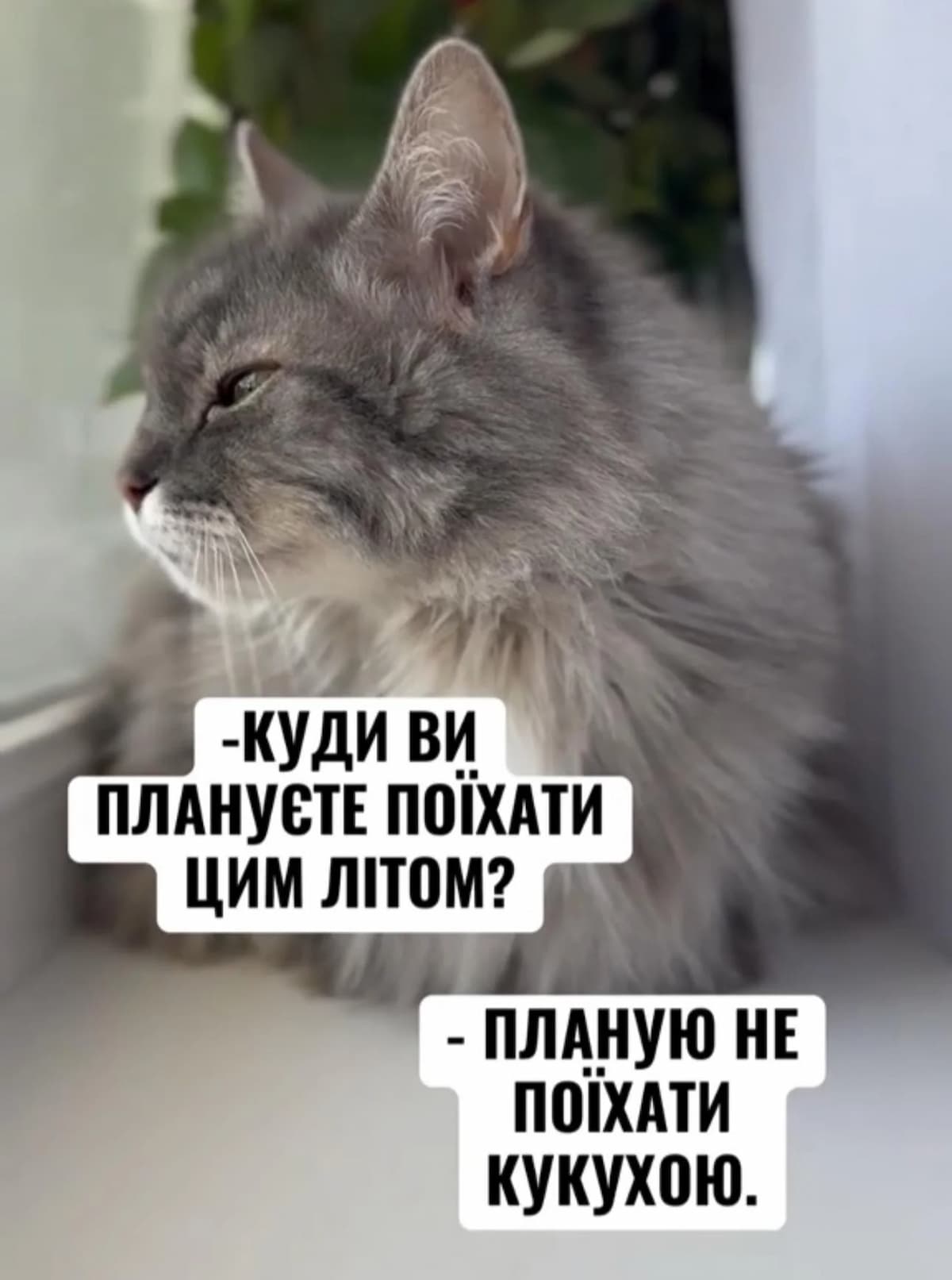 гумор про літо