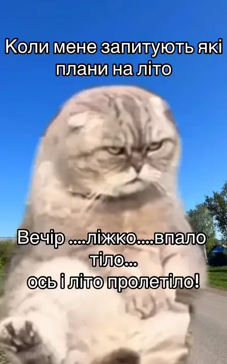 гумор про літо