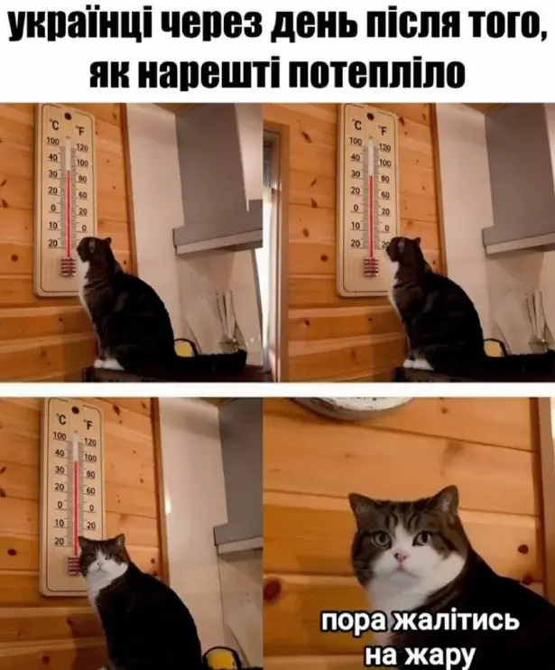 гумор про літо