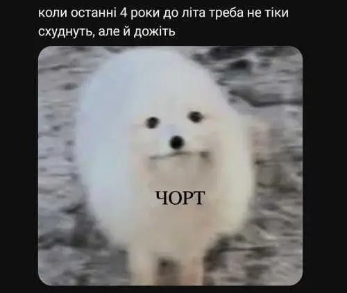 гумор про літо