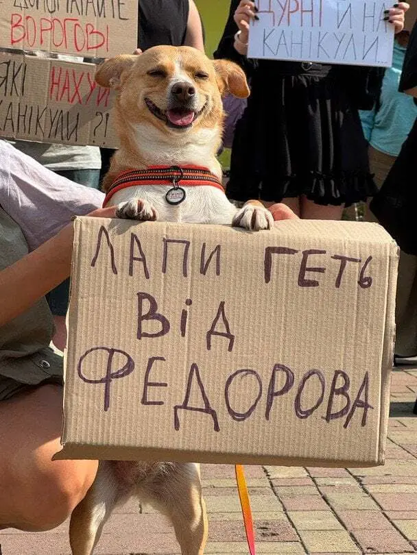 Четверолапый участник акции