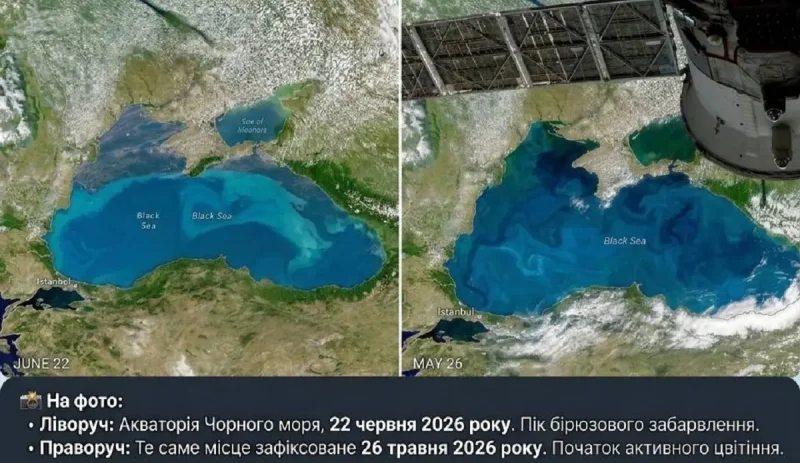 как Черное море изменило цвет