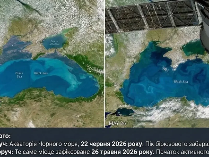 как Черное море изменило цвет