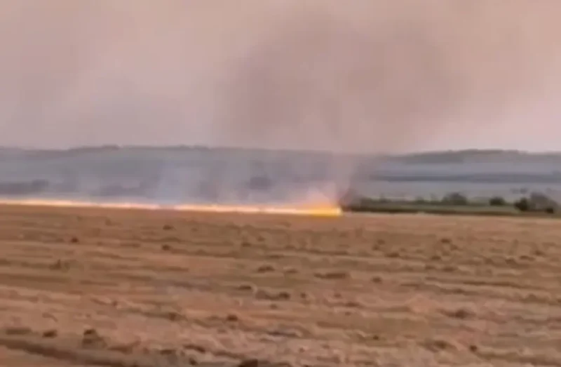 Під Одесою спалахнула масштабна пожежа на полях