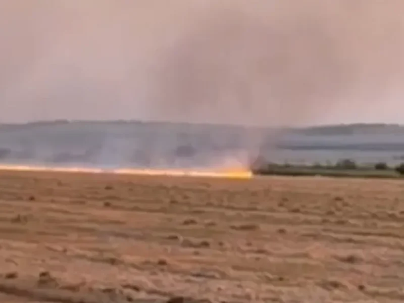 Під Одесою спалахнула масштабна пожежа на полях