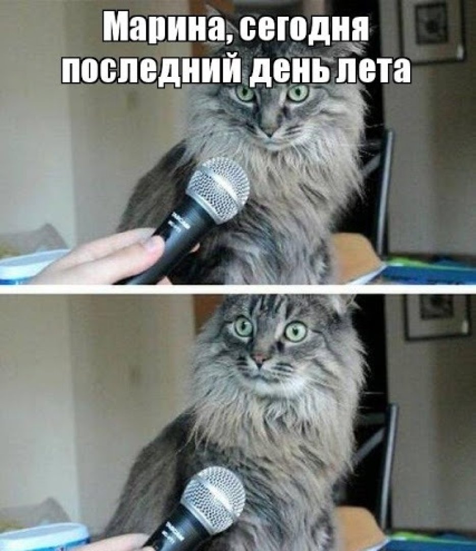 гумор про літо