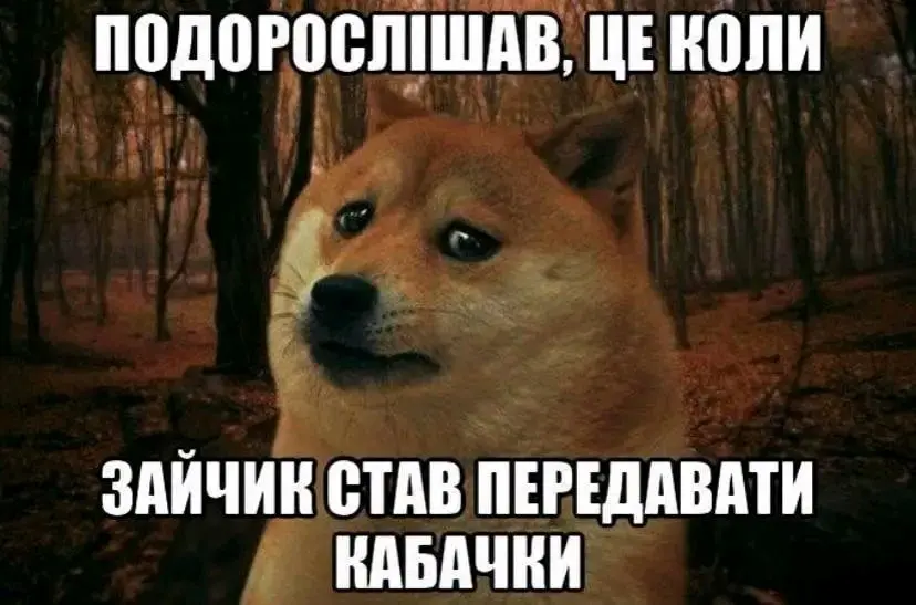 гумор, меми
