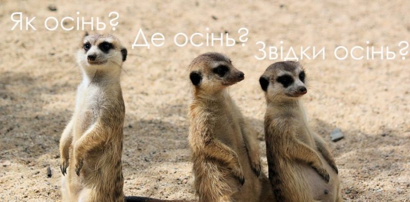 гумор про літо