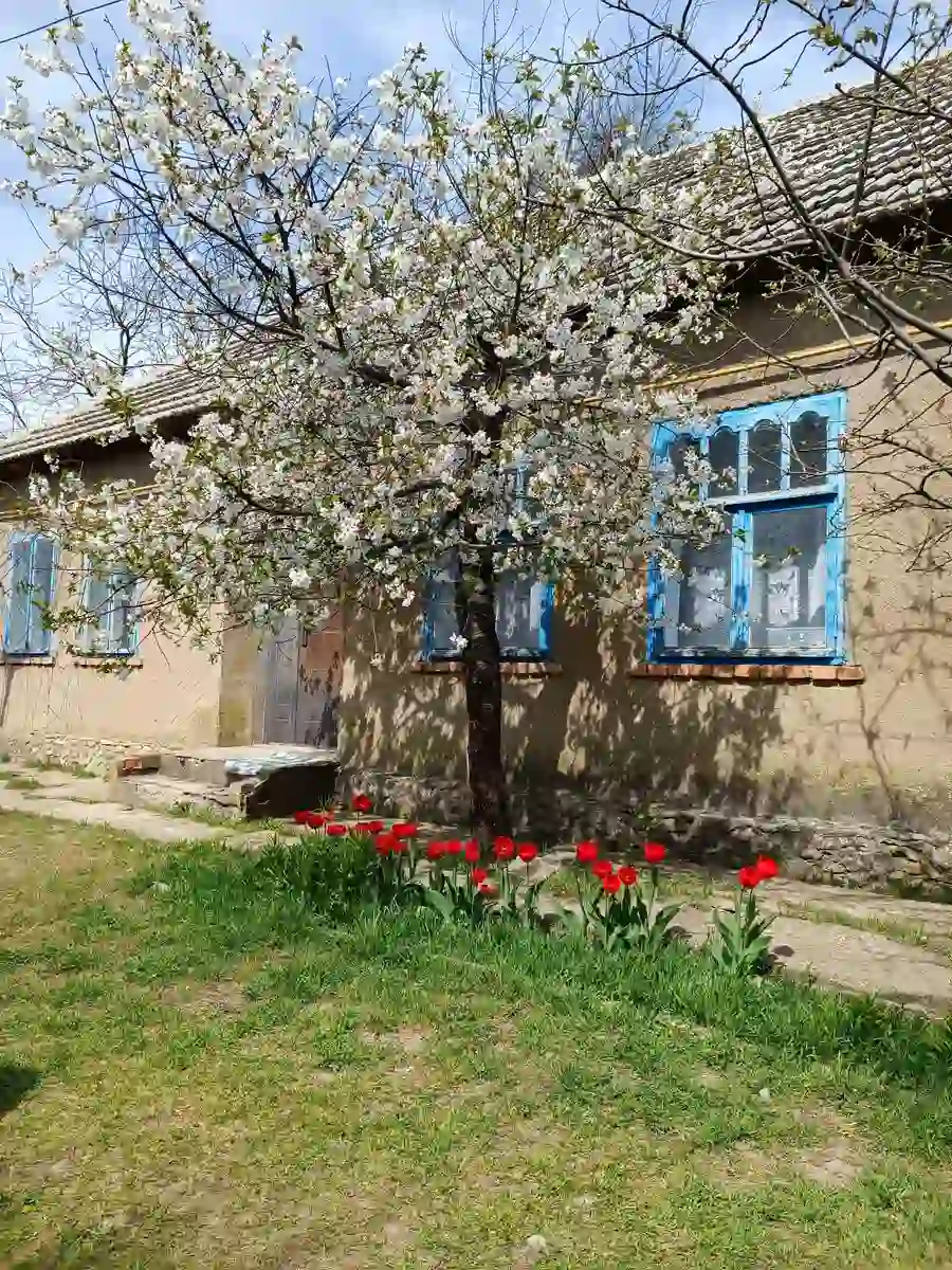 Дім, який став рідним