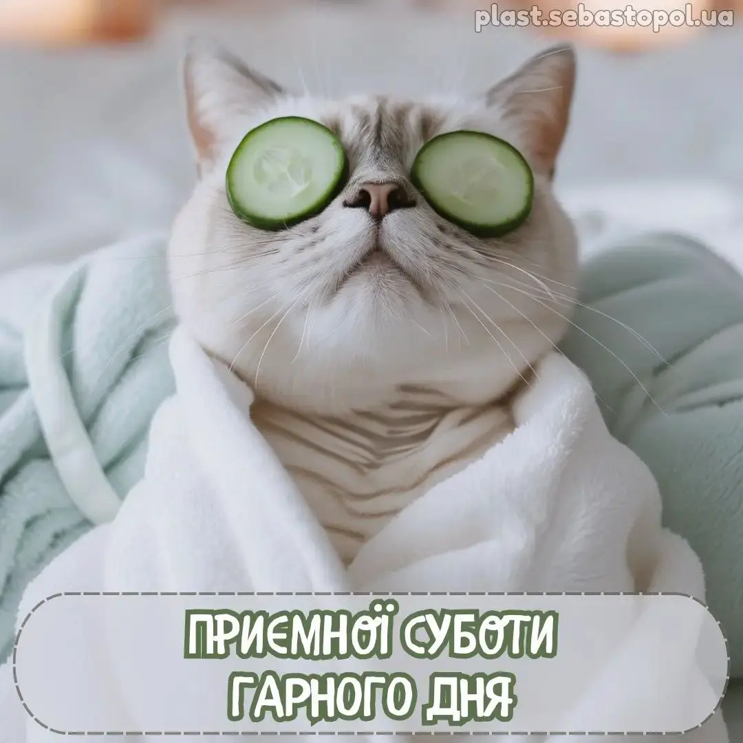 гумор, меми