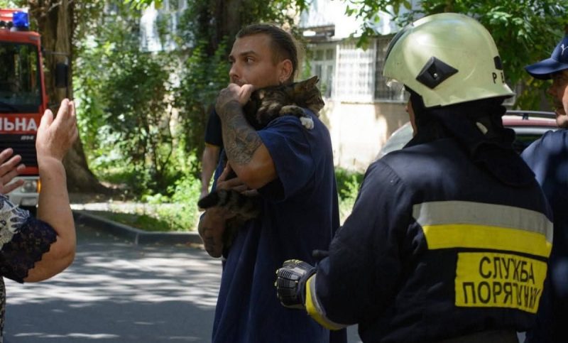 В Одесі врятували кота, який три дні просидів на тополі