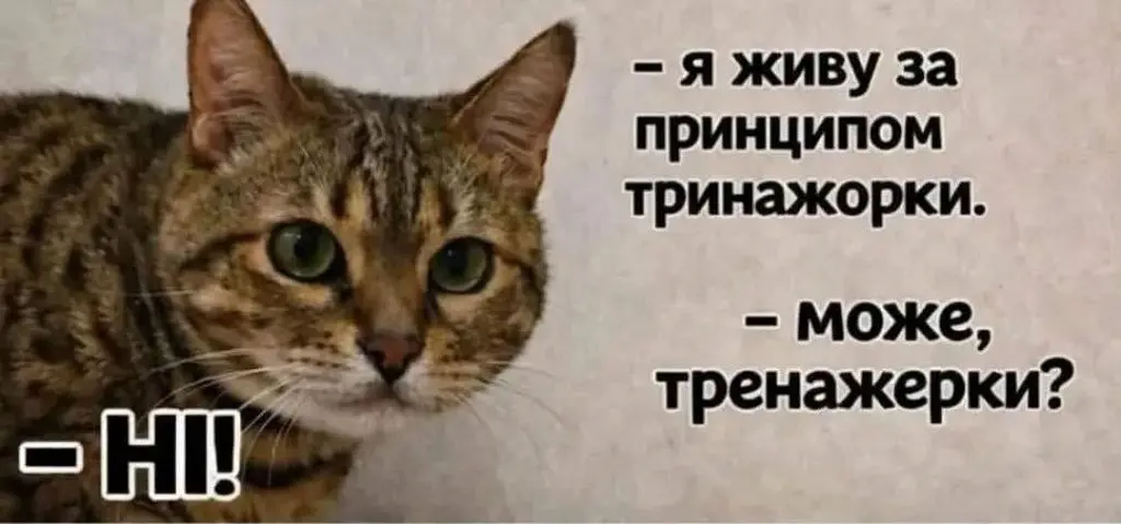 Кошачья «тринажорка»