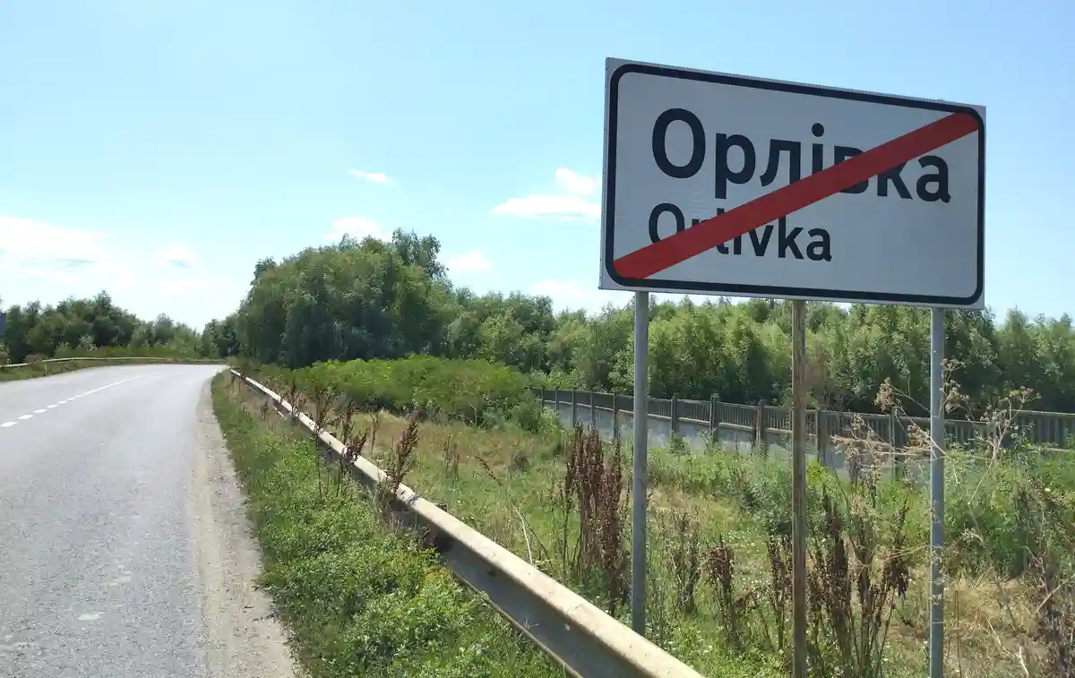 За селом – рукотворный лес в Орловке