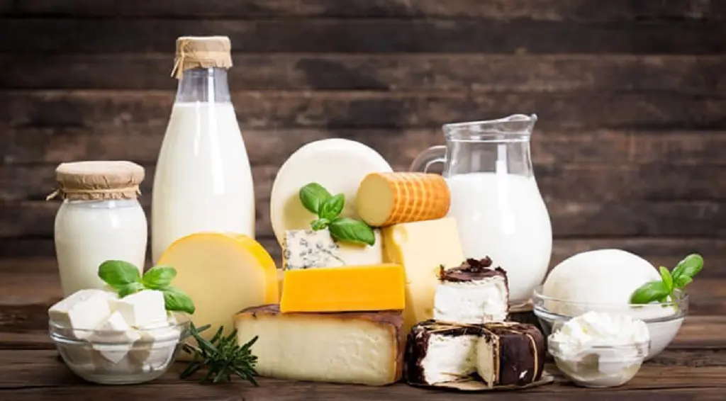 Молочная продукция