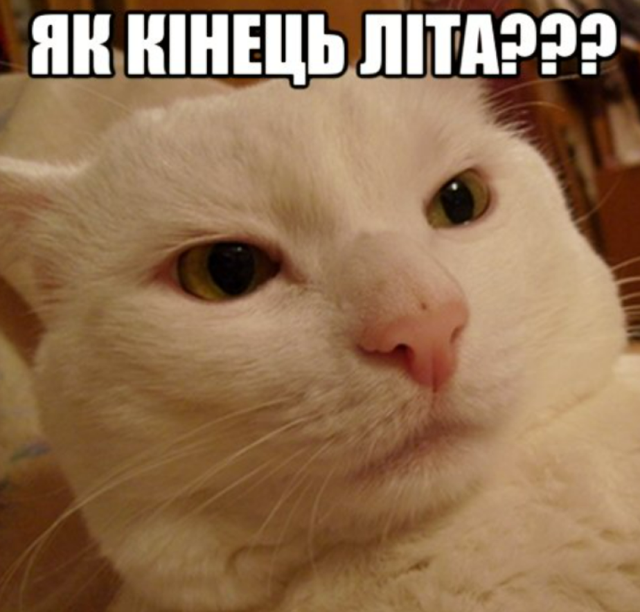 гумор про літо