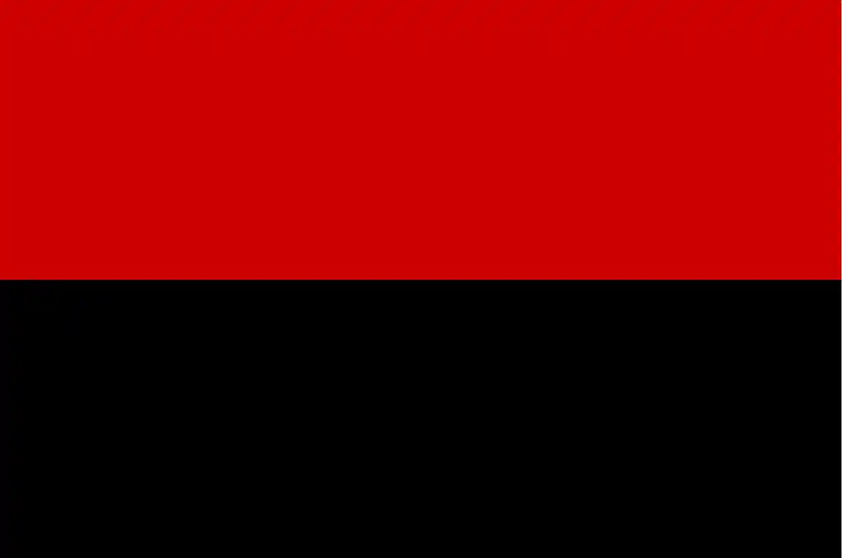 Прапор ОУН червоно-чорний