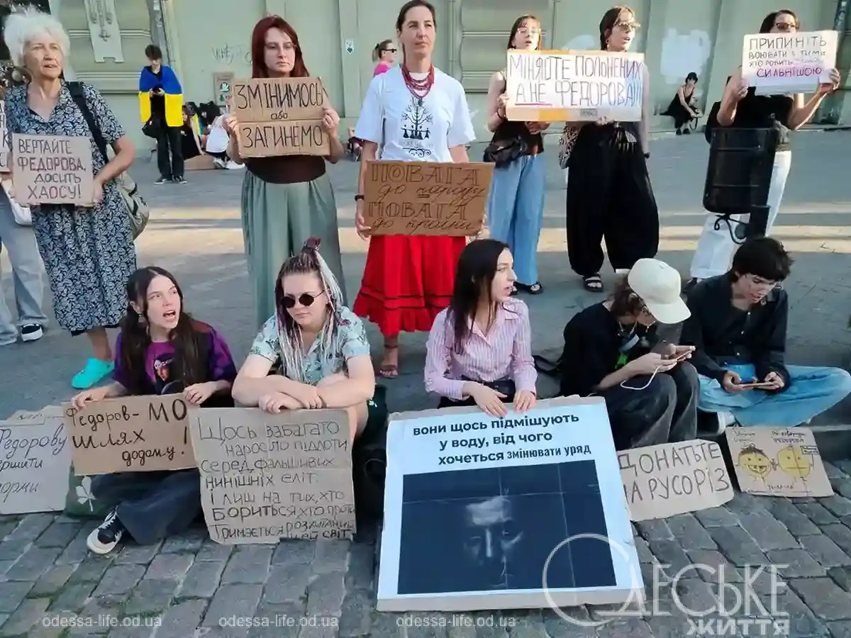 Протест с картонками