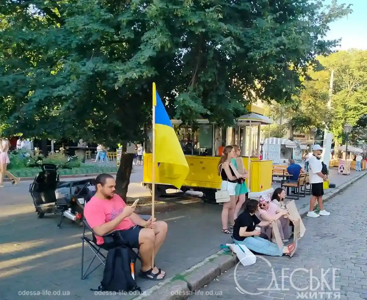 Протест с картонками