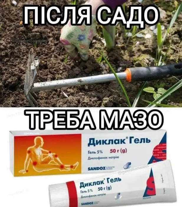 Садо-мазо, дачный вариант