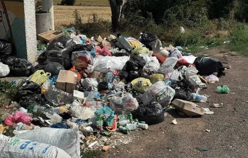 На трасі Київ – Одеса прибрали стихійне звалище біля зупинки