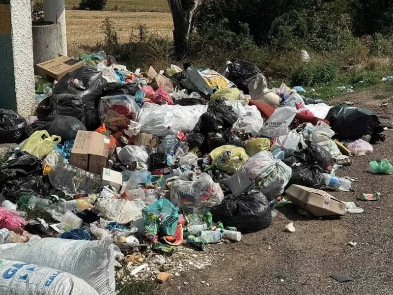 На трасі Київ – Одеса прибрали стихійне звалище біля зупинки