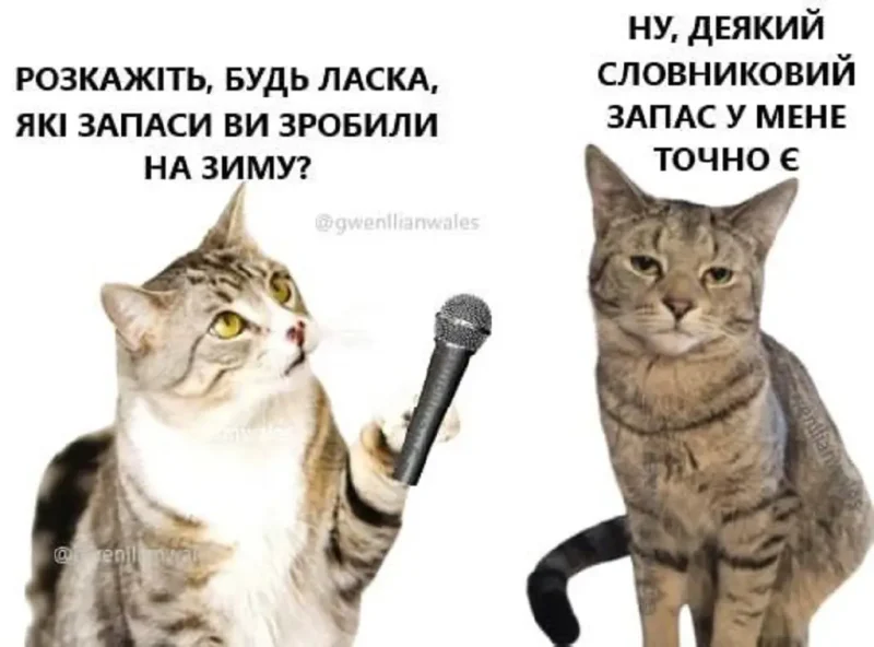 Запасы на зиму