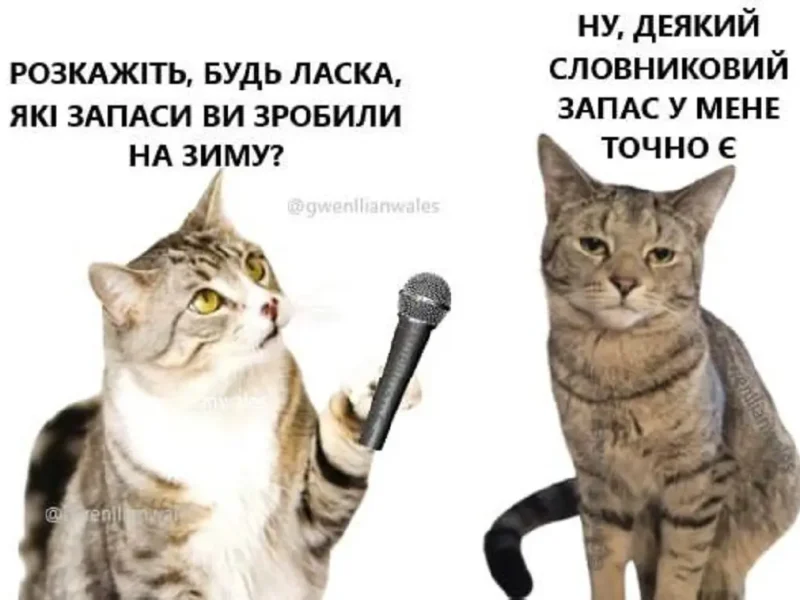 Запасы на зиму