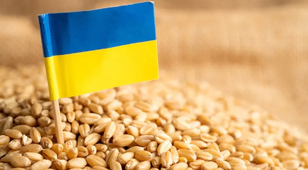 Украинский флаг и зерно