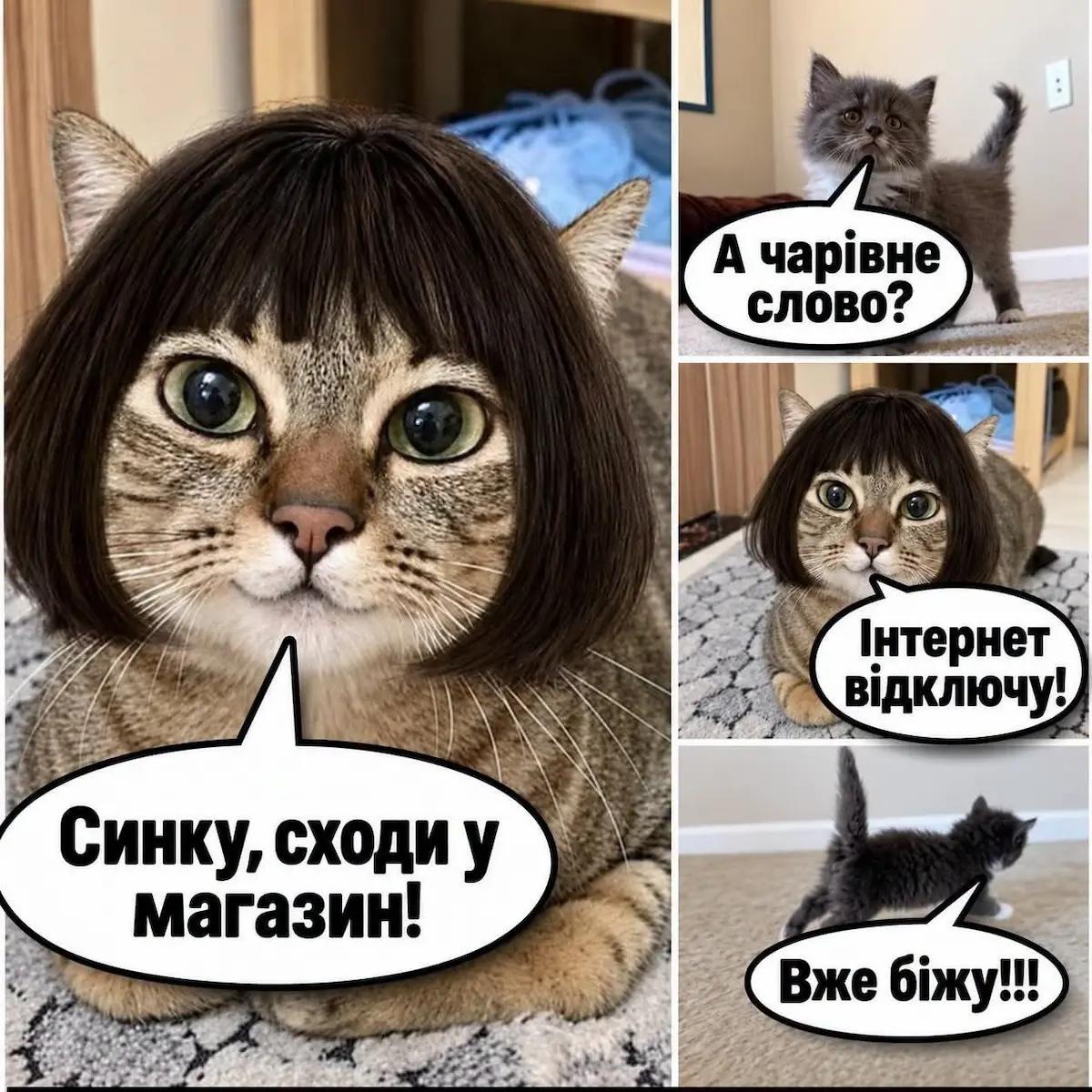гумор, меми