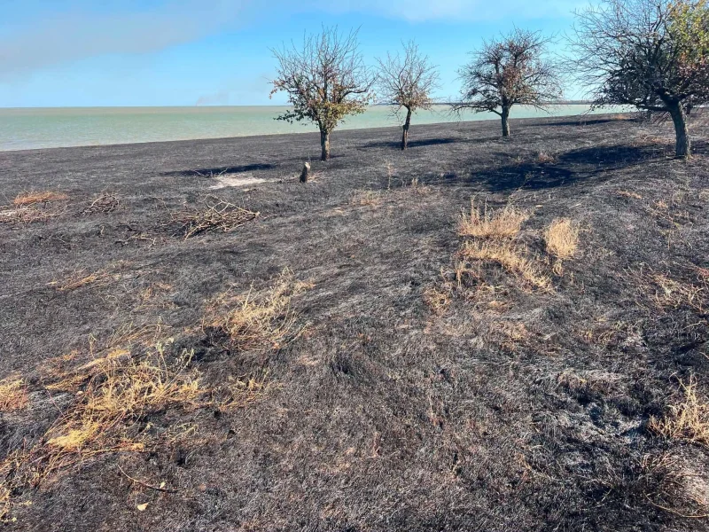 пожежа Тузлівські лимани