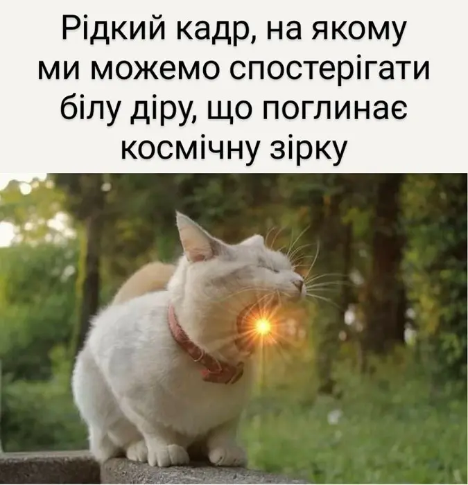 Кошачья астрофизика