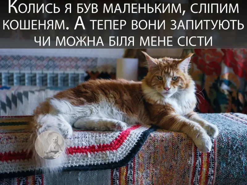 гумор Одеське життя