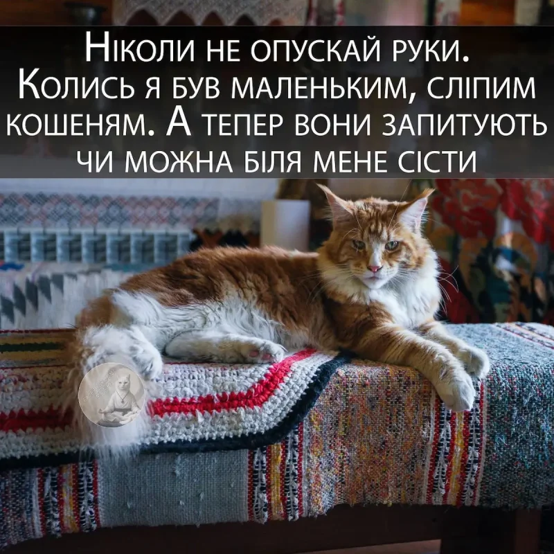 гумор Одеське життя