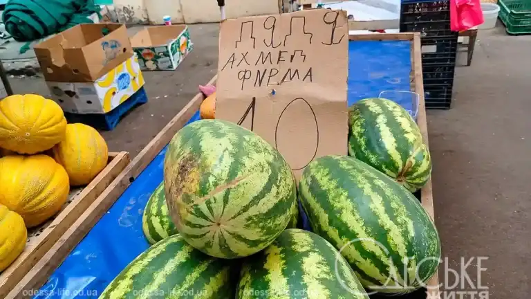 Кавуни дяді Ахмеда