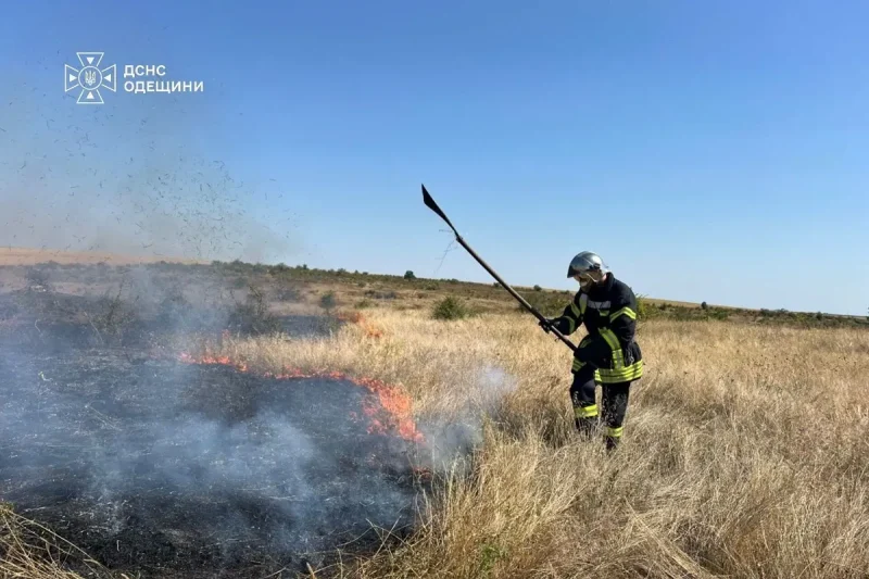 Спасатель тушит пожар на открытой местности