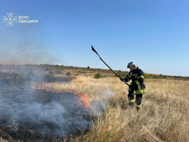 Спасатель тушит пожар на открытой местности