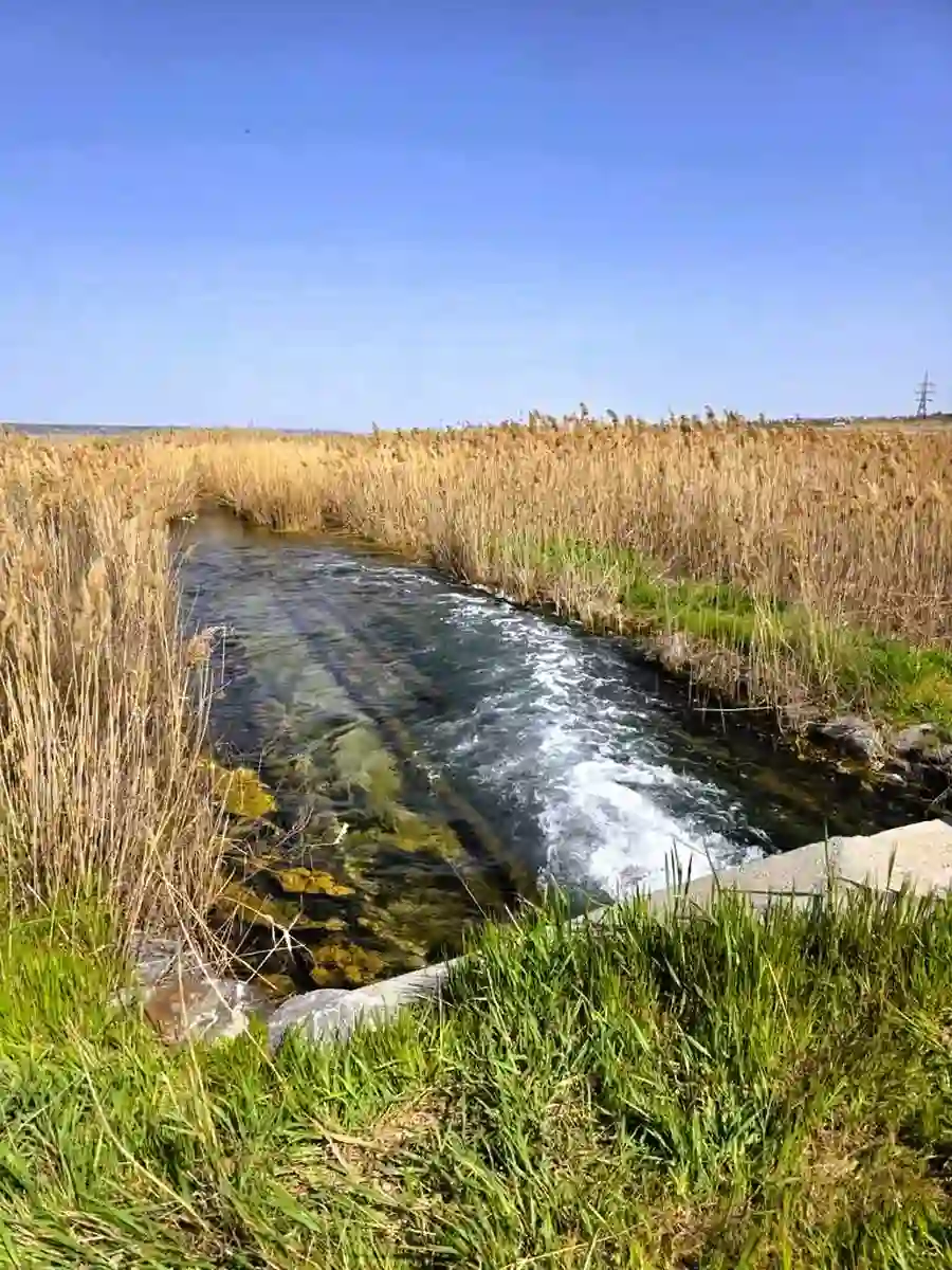 Труба, соединяющая Куяльник с морем