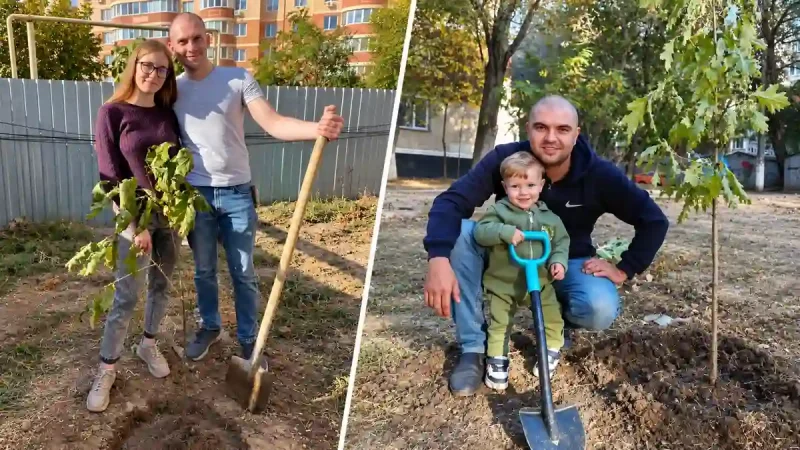 Висадка дубів