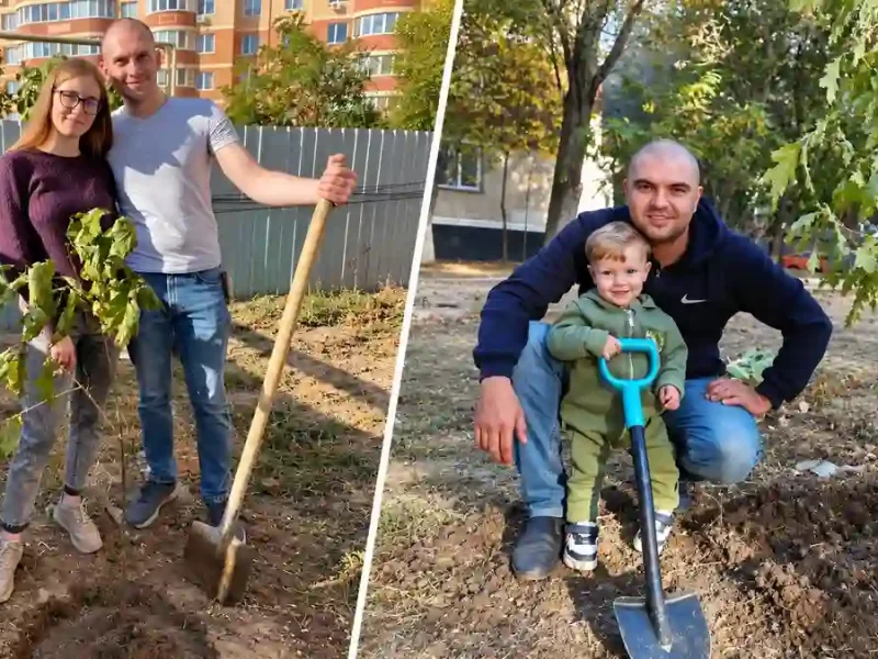 Висадка дубів