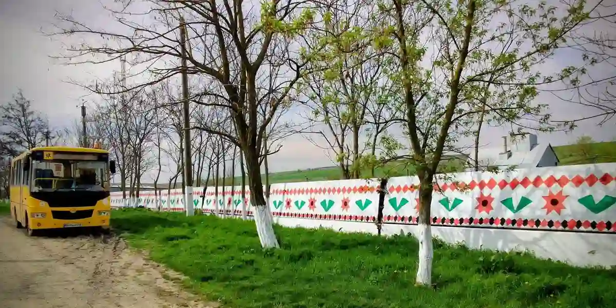 Вышиванка длиной 300 метров вдоль стадиона в Новодолинском