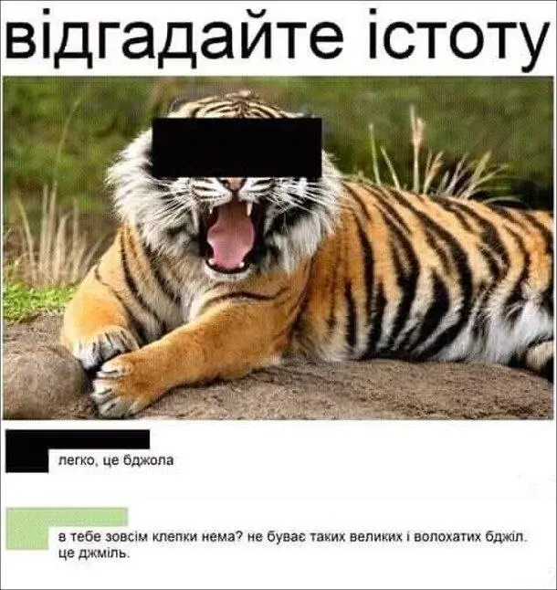 Фото тигра с закрашенными глазами и комичные комментарии про пчелу и шмеля