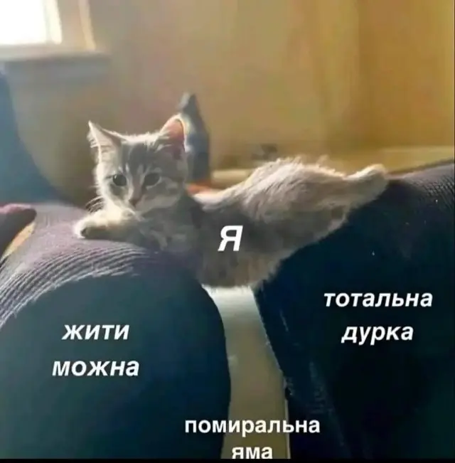 Маленький котёнок балансирует между двумя диванными подушками
